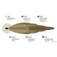 Paire de lampes LED KC Lighting